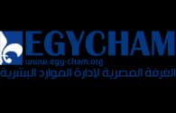 شعار المؤسسة الشريكة في النجاح